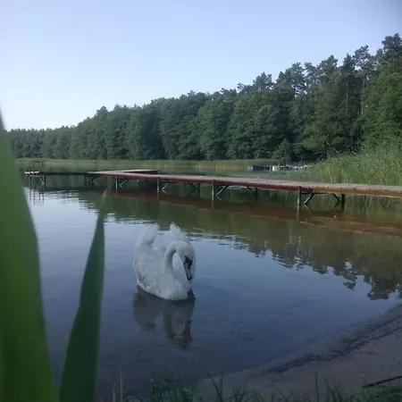 Campsite Siedlisko Kalimera Orzysz