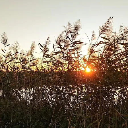 Siedlisko Kalimera