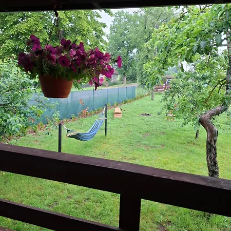 Siedlisko Kalimera * Orzysz